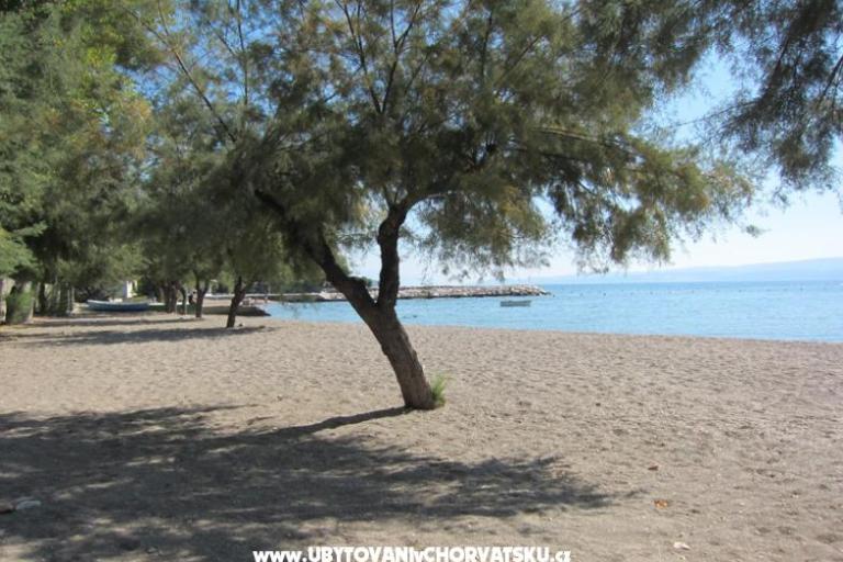 Villa Grana – photo 5