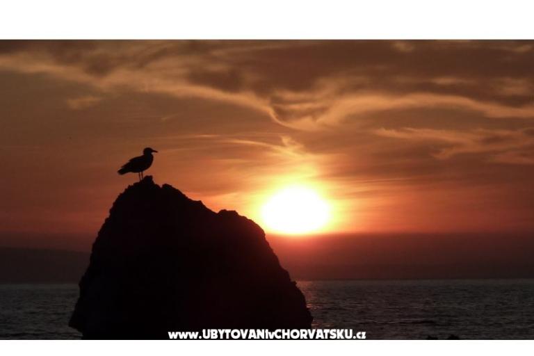 Villa Iva - beach, sea, sun – photo 6