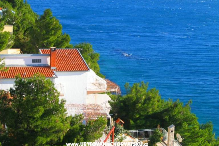 Villa Jadranka – photo 2