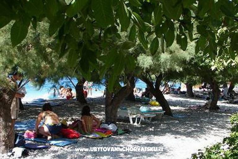 Villa Lubin – photo 8