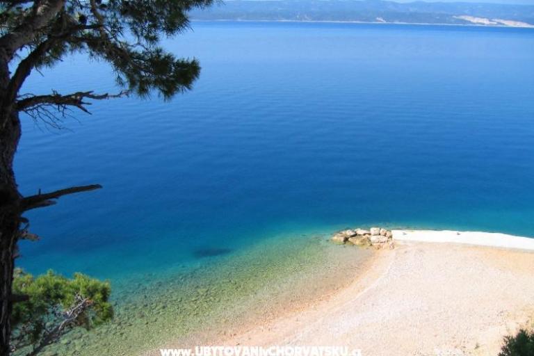 Villa Mandolina – photo 7