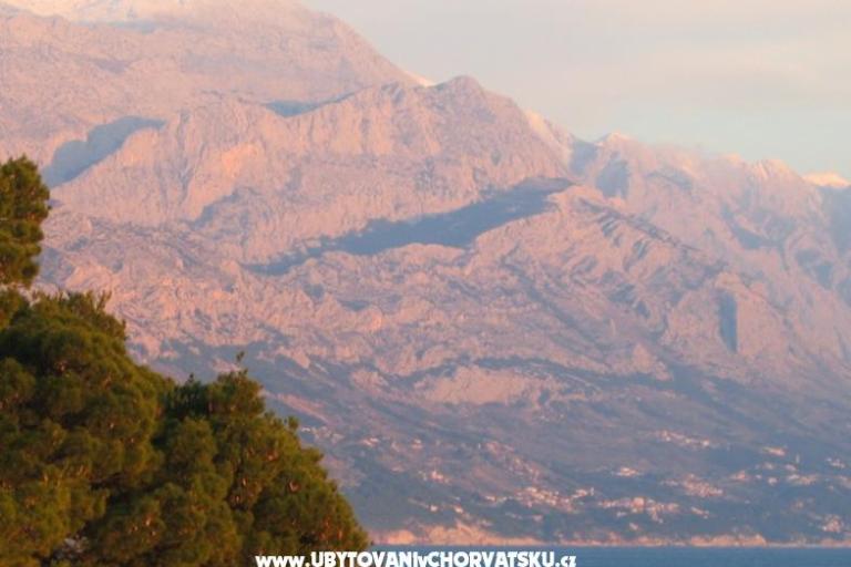 Villa Mandolina – photo 8