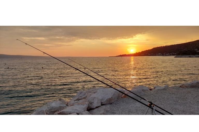 Villa Matijević – photo 15