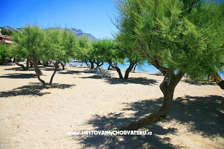 Villa Matijević – photo 8