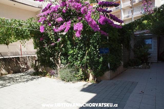 Villa Mimi – photo 2