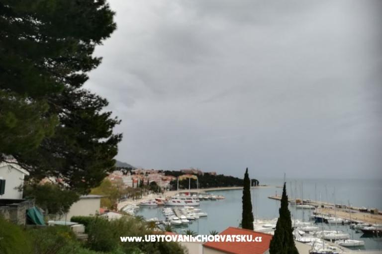 Novi apartmani Petar – photo 7