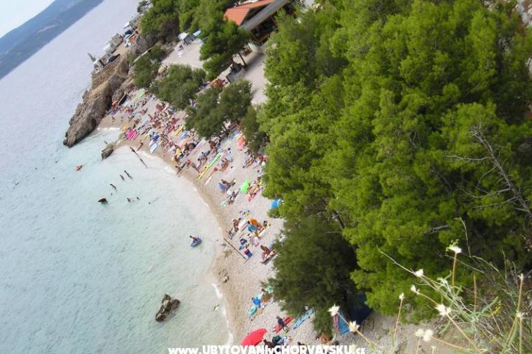 Villa Sanja – photo 4