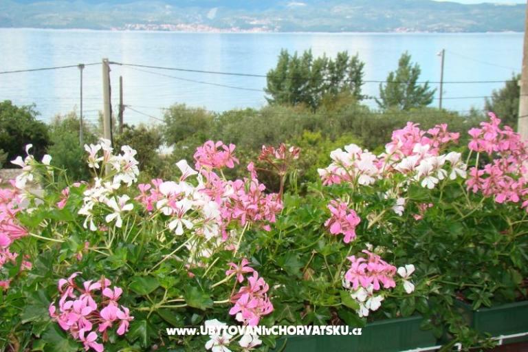 Villa Sunce – photo 14