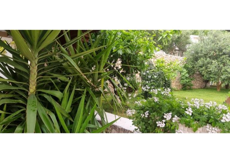 Villa Sunce – photo 15