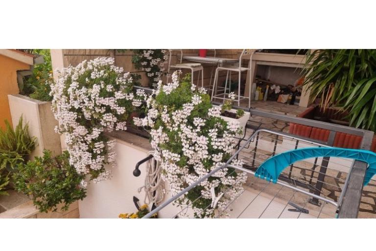 Villa Sunce – photo 16