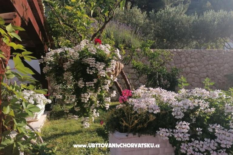 Villa Sunce – photo 18