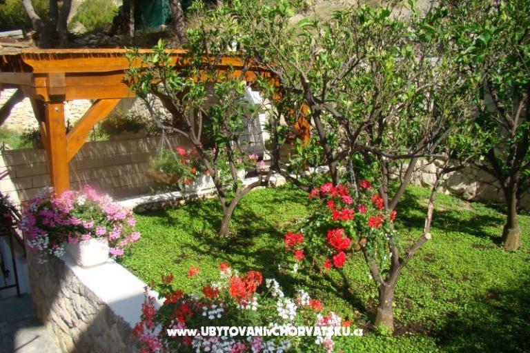 Villa Sunce – photo 2