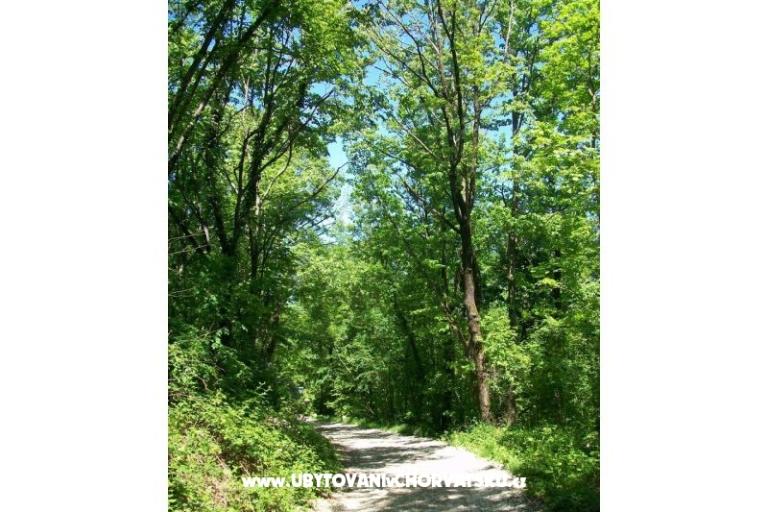 Apartment Filipović Kastav – photo 17