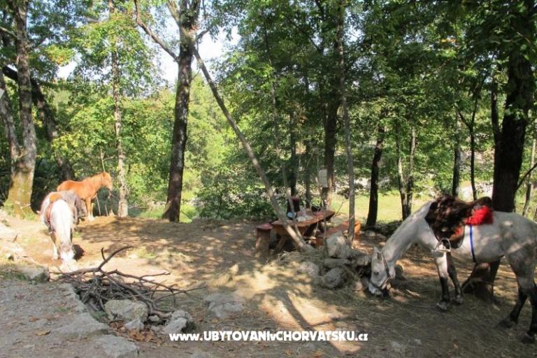 Apartment Filipović Kastav – photo 18