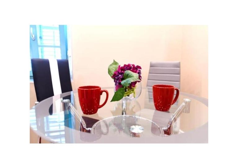 Apartment Filipović Kastav – photo 8