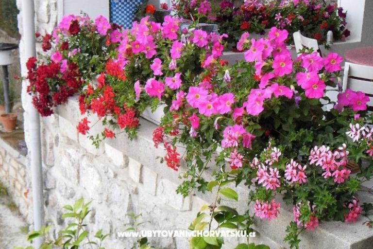 Apartments Kestenovi dvori – photo 15