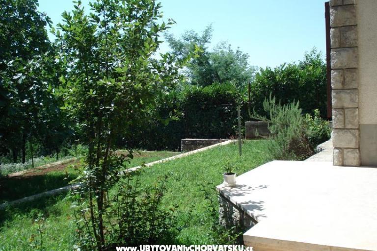 Apartments Mare – photo 6