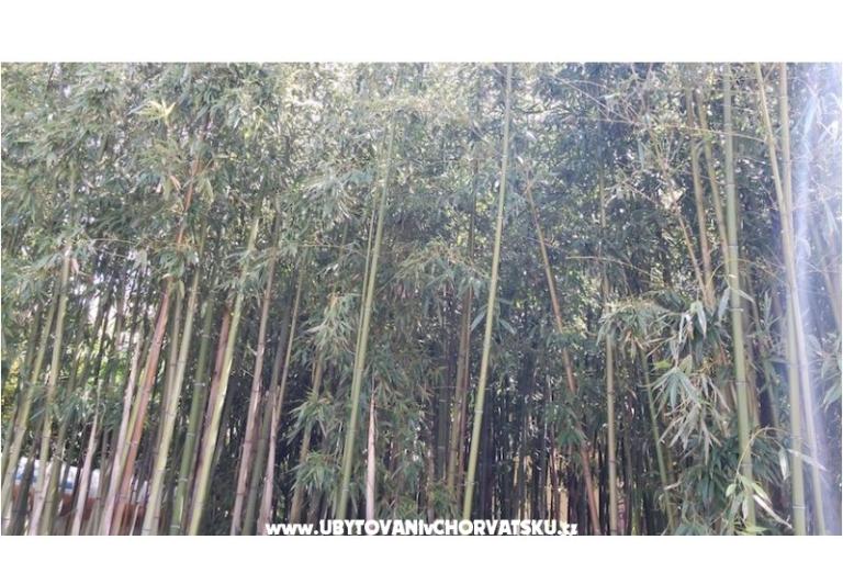 Apartments &amp; rooms  Raspor – photo 11