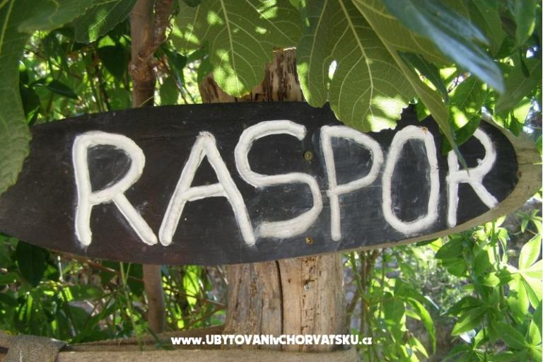 Apartments &amp; rooms  Raspor – photo 12