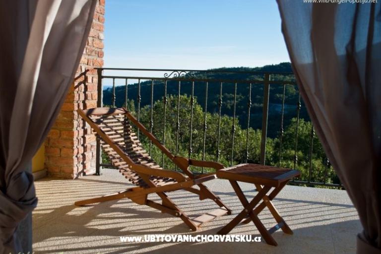 villa Angeli – photo 10