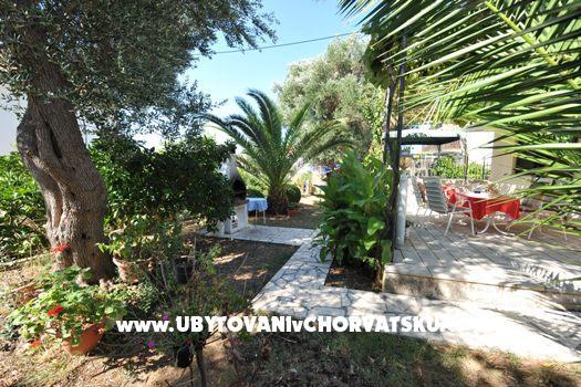 Apartment Djapo – photo 6