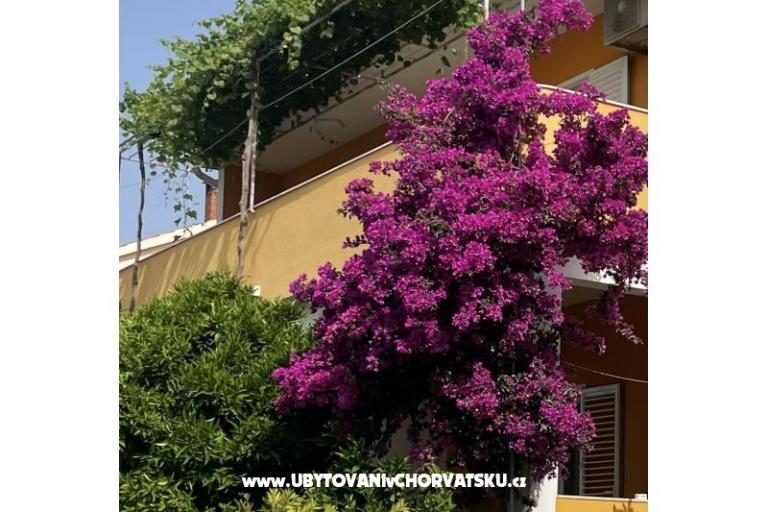 Apartments  Ante – photo 10