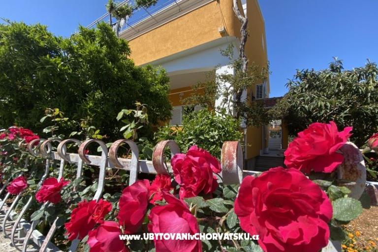Apartments  Ante – photo 12