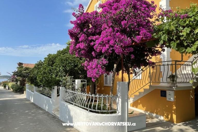 Apartments  Ante – photo 8