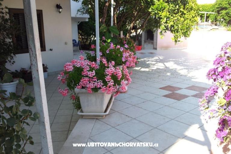 Apartments Bilic – photo 12