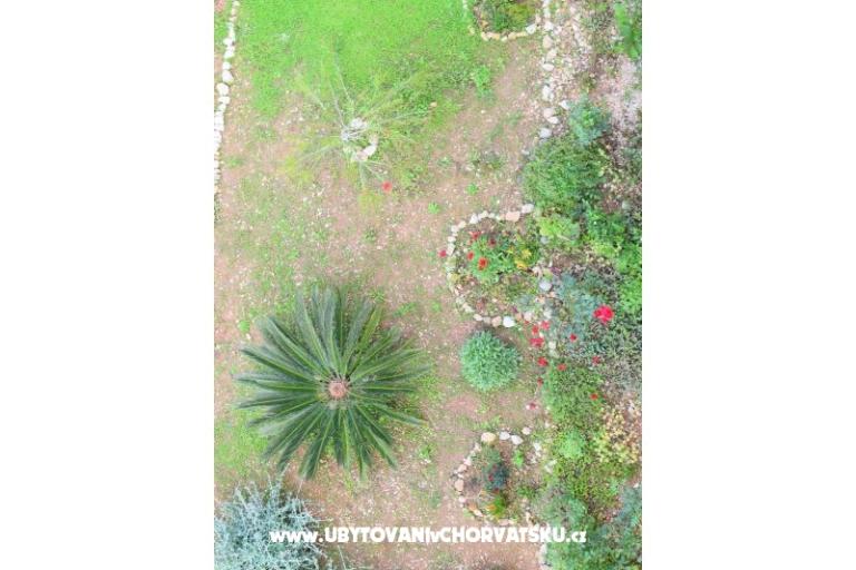 Apartments Ćurković – photo 6