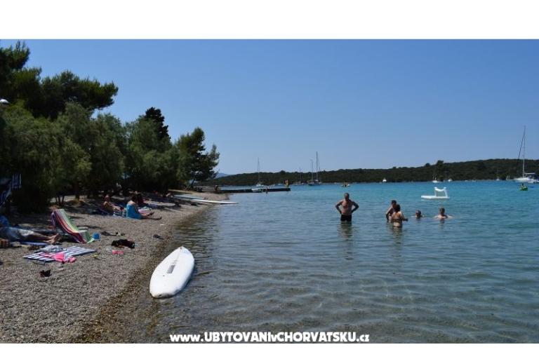 Apartments Radojković – photo 4