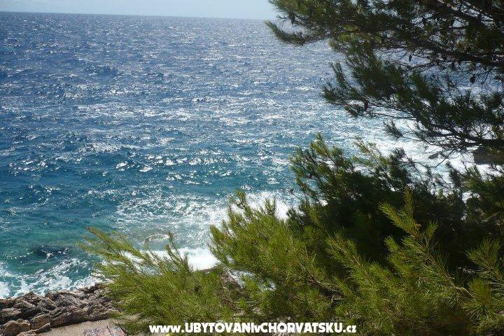 Apartments Rina – photo 11