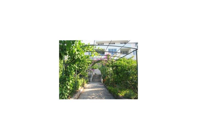 Apartments Šurjak – photo 14