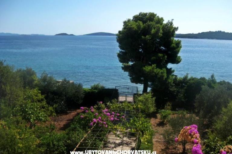 Apartments Šurjak – photo 3