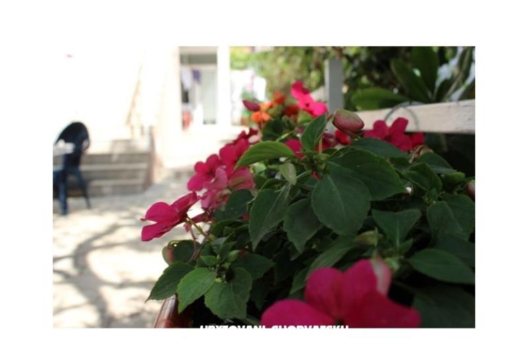 Apartments Tanja – photo 3