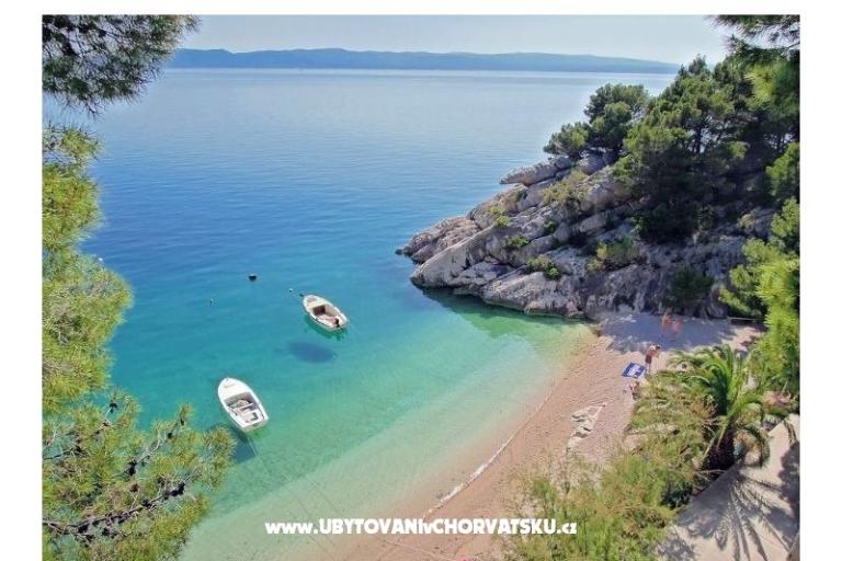 Apartments Zona – photo 16