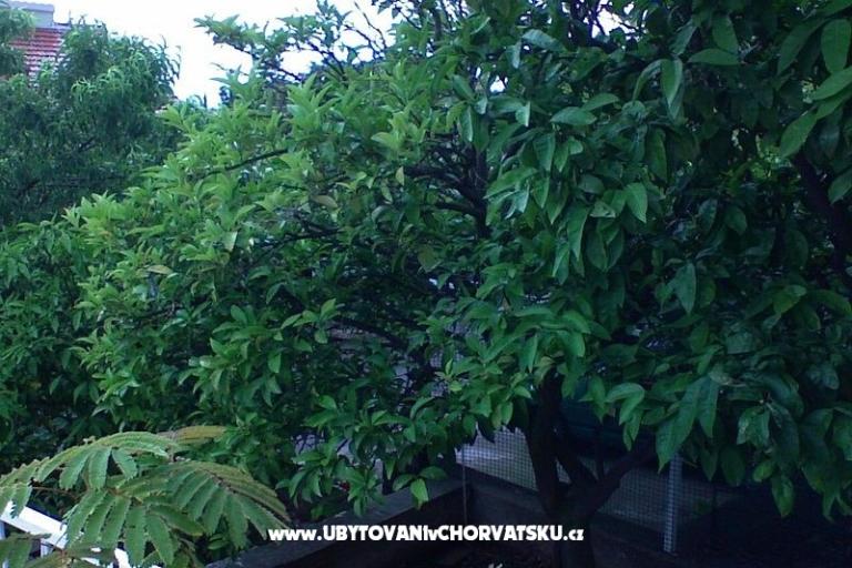 Apartments Zorka – photo 13