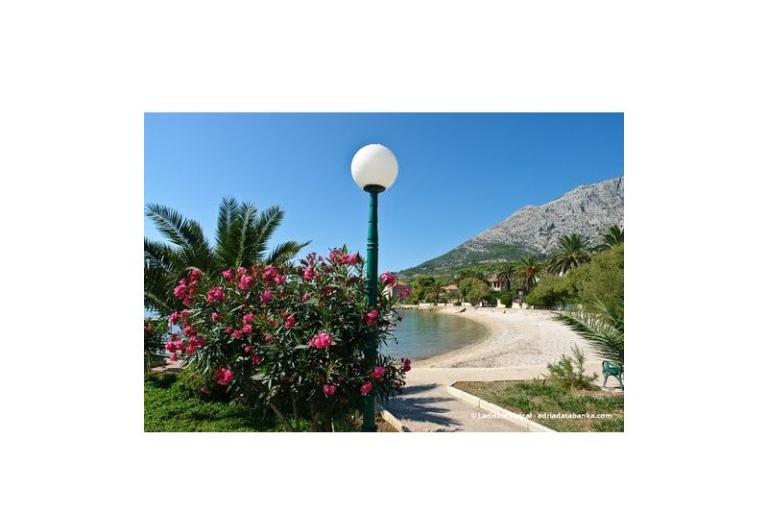 Apartments Mirjana – photo 2