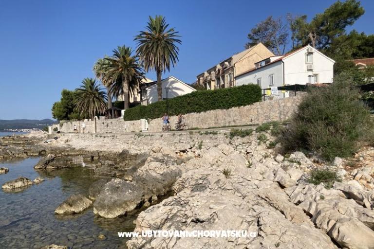 Apartments Ruvo – photo 15