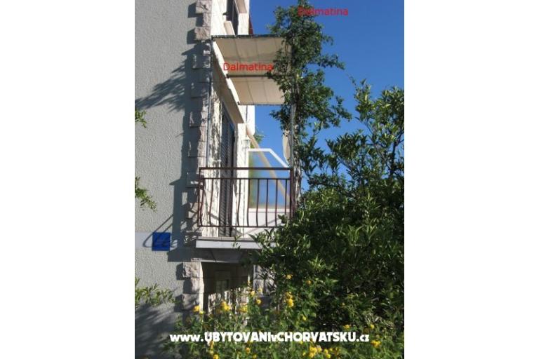 Dalmatina – photo 15