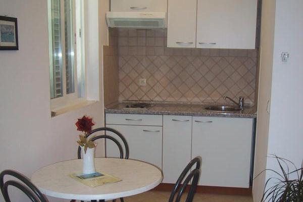 Dalmatina – photo 16