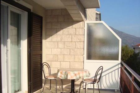 Dalmatina – photo 17