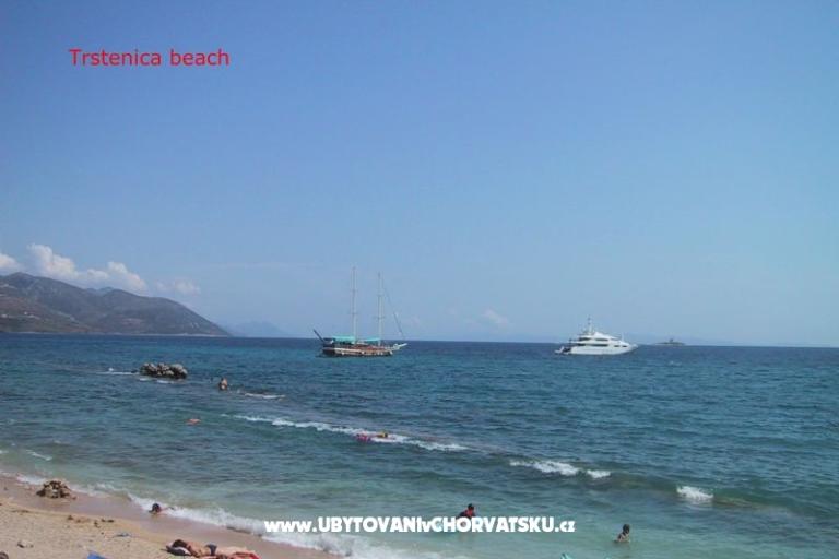 Dalmatina – photo 18