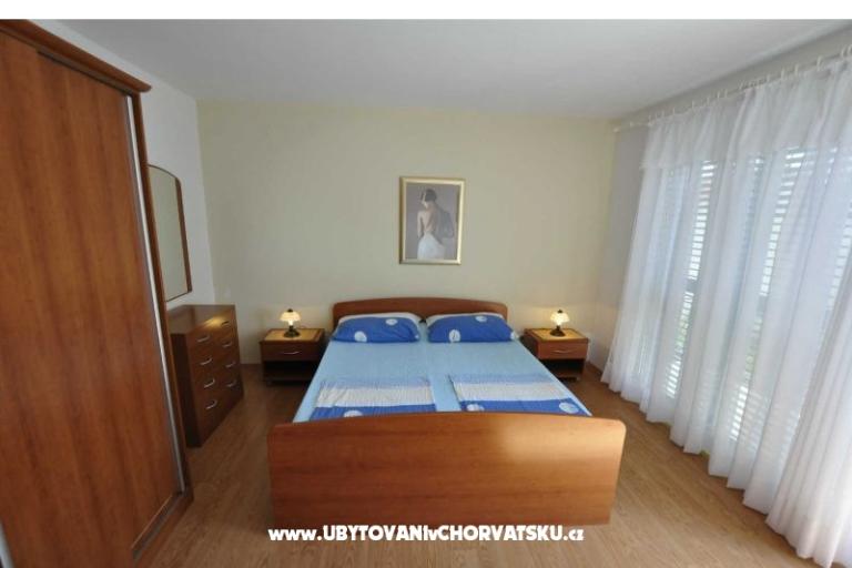 Dalmatina – photo 3