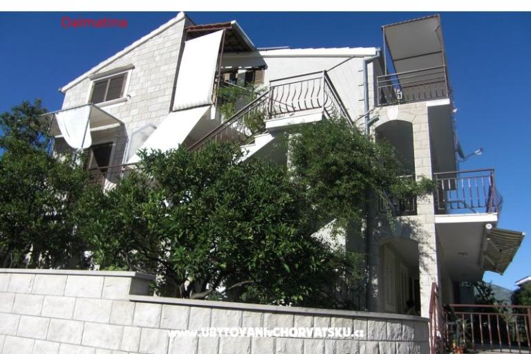 Dalmatina – photo 6