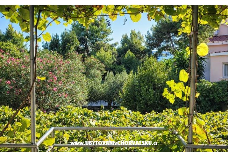 House  Mokalo – photo 16