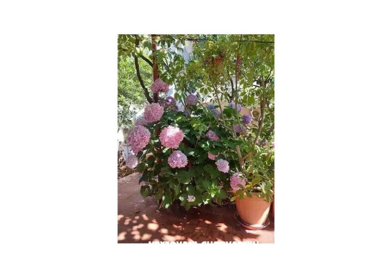 Apartment Braco – photo 39