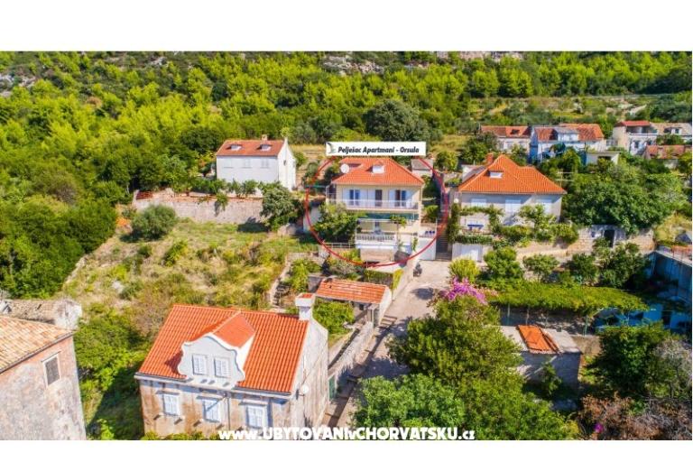 Pelješac Apartments -Orsula  – photo 4