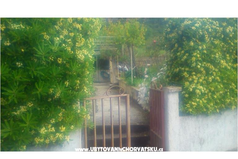 Vila Smokvica – photo 8