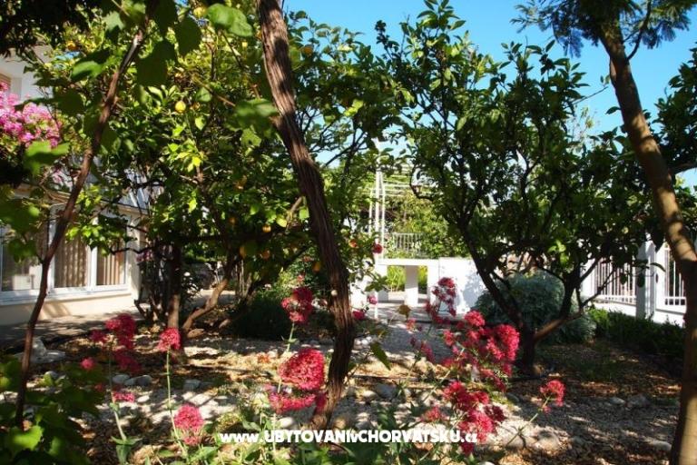Villa Fani – photo 6